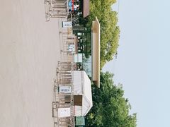 -上海滨江森林公园