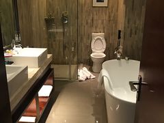 -常州环球恐龙城维景国际大酒店