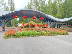 -东平国家森林公园