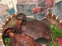 -芸山季·云南山珍菌火锅(人民广场来福士店)