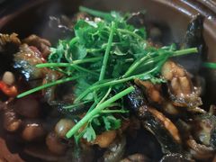 -潮信鱼头王(西环店)