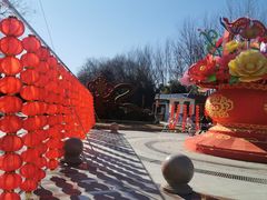 -燕郊植物园