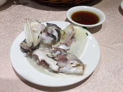 天目湖鱼头-天福苑(崇宁路店)