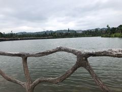 -枫香湖儿童公园