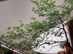 -二酉书店TOYOU BOOKS