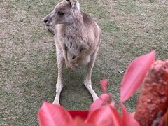 -上海野生动物园