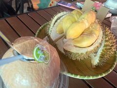 -榴莲BB 四季果园
