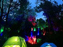 -梦幻奥陶纪景区