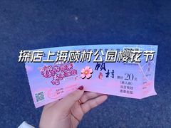 -顾村公园