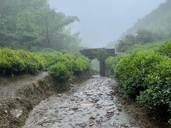 -仙霞关景区