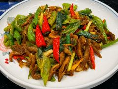 -丰食农家乐