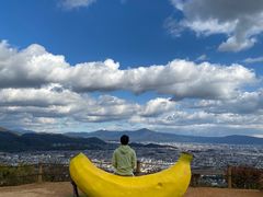 -岚山猴子公园