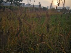 -汉长安城未央宫国家考古遗址公园