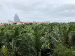 -三亚海棠湾喜来登度假酒店大堂吧