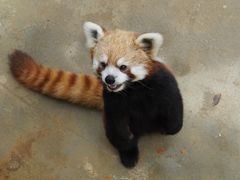 -杭州野生动物世界