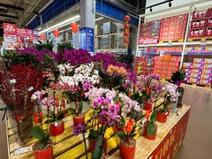 -麦德龙(十里河店)
