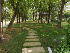 -广西大学(大学东路校区)