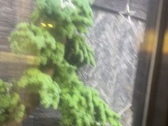 -庭院·冰煮羊·北京涮肉(西单店)