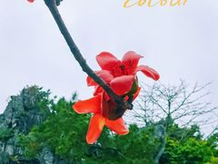 -广州西关永庆坊旅游区