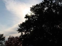 -维乐口腔医院(星海湾分院)