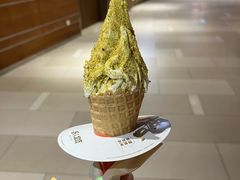 -野人先生现做冰淇淋(北京环宇荟店)