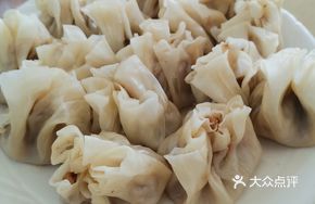 Beef and Onion Dumplings