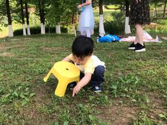 -铁山坪森林公园