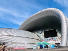 -烟台海昌鲸鲨海洋公园