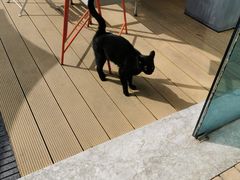 -UNIUNI(凯瑟琳广场店)