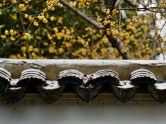 -惠山古镇·寄畅园