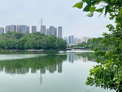 -重庆彩云湖湿地公园