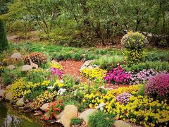 -上海共青森林公园