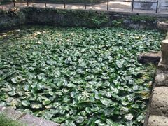 -无锡惠山寺