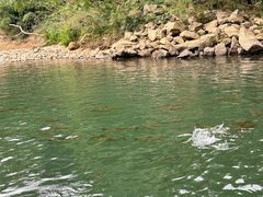 -九曲溪竹筏码头