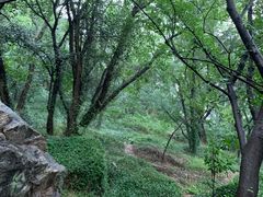 -虞山城墙