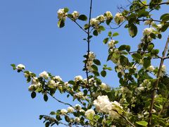 -上海滨江森林公园