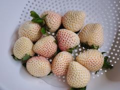 -山姆会员商店(杨桥西路店)