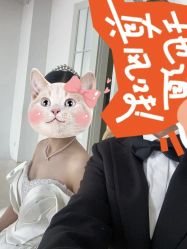 -金夫人婚纱摄影(总店)