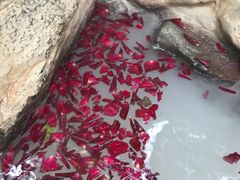 -湖泉半山温泉