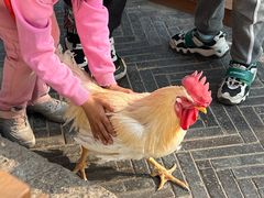 -春风习习