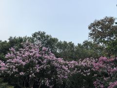 -杭州城北体育公园