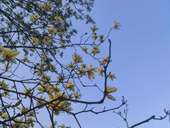 -沈阳植物园