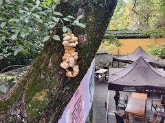 -兴福老面馆(寺路街店)