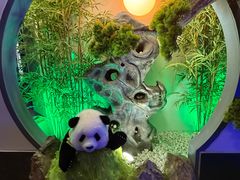 -新淮扬村·淮扬菜·北京烤鸭·世界美食之都示范店(崇文门店)