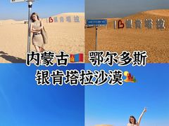 -银肯塔拉沙漠生态旅游景区