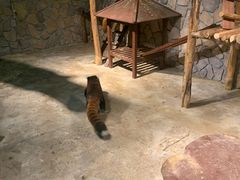 -绿色星球动物主题公园