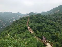 -大岭沟猕猴桃谷风景区