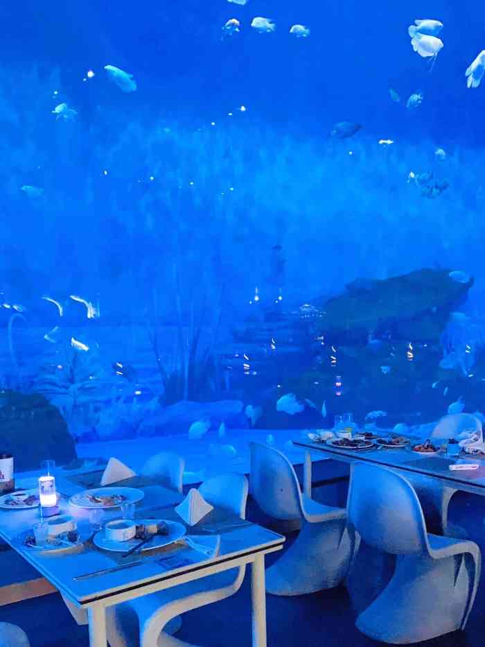 海洋鱼点了份套餐还是蛮核算的和外面的餐厅价格差不多披萨是做的鱼形