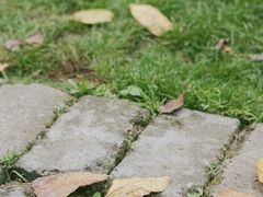 -悦哉·派对·草坪婚礼·围炉煮茶(三圣乡店)