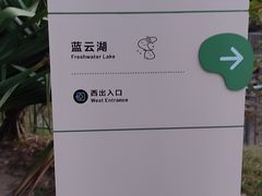 -福田红树林生态公园